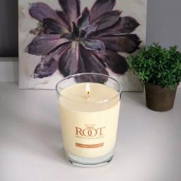 ROOT CANDLES A.I. Root Veriglass Sparkling Champagne Scented Soy & Beeswax Jar Candle thumbnail 1