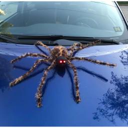 Worth Imports 22 in. Brown Furry Spider with Lighted Red Eyes (Set of 2) - Halloween Bug Decor thumbnail 3