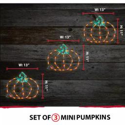 Haunted Hill Farm Mini Pumpkin LED Halloween Light Set, Indoor/Outdoor (Set of 3) thumbnail 8