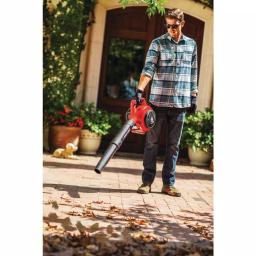 Troy-Bilt TB430 25cc 2-Cycle Gas Handheld Leaf Blower, 200 MPH, 430 CFM thumbnail 6