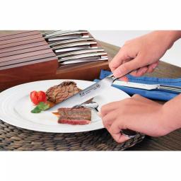 Cangshan N1 Series 5 in. Steak Knife Set with Acacia Wood Block, 9-Piece Set thumbnail 7