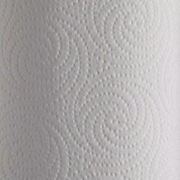 Georgia-Pacific Preference White Perforated 2-Ply Paper Towels on Roll, 100 Sheets thumbnail 3
