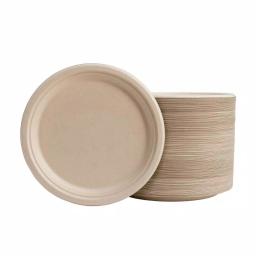 Unbranded 10 in. Natural Sugarcane Plates, Eco-Friendly & Compostable (300 Pack) thumbnail 1