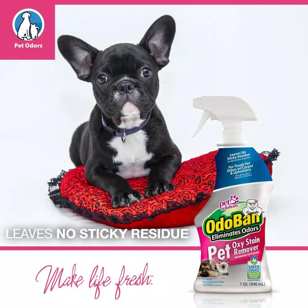 OdoBan Pet Oxy Stain Remover, 32 oz. Oxygen-Powered Odor and Stain Eliminator