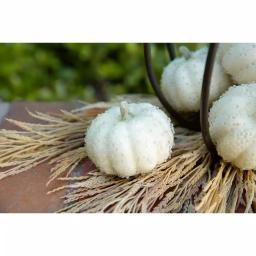 Flora Bunda 8-Piece Cream White Beaded Mini Pumpkin Set - Fall Harvest Indoor Tabletop Decor thumbnail 4