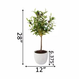 Flora Bunda 28 in. Faux Olive Tree in Gray Cement Pot thumbnail 4