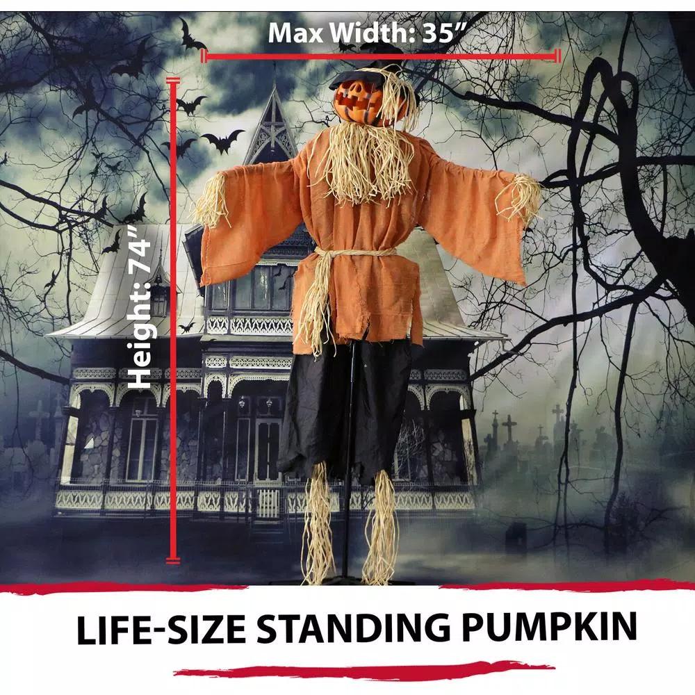 Haunted Hill Farm 6 ft. Animatronic Moaning Jack-O-Lantern Scarecrow Halloween Prop