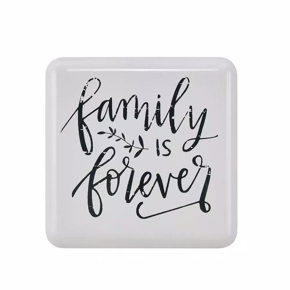 Danya B. Family is Forever Metal Wall Art - Farmhouse Decorative Quote Sign