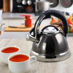 Mr. Coffee Kelton 2 Qt. Stainless Steel Whistling Tea Kettle by Gibson Mr. Coffee thumbnail 4