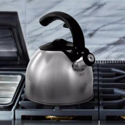 Mr. Coffee Steamline 2 Qt. Stainless Steel Tea Kettle with Whistle, Gray thumbnail 6