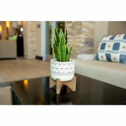 Flora Bunda 12 in. Artificial Snake Plant in White Ceramic GEO Pattern Pot with Wood Stand thumbnail 4