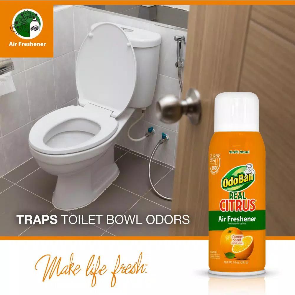 OdoBan Real Citrus Air Freshener Spray, Invigorating Orange, 10 oz.