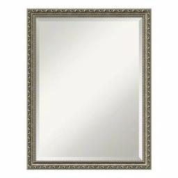Amanti Art Parisian 20.5 in. W x 26.5 in. H Silver Wood Framed Beveled Edge Bathroom Vanity Mirror thumbnail 1