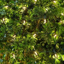 Home Accents Holiday 4 ft. x 6 ft. 150 LED Warm White Mini Net Lights, Constant On thumbnail 4