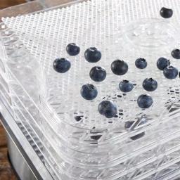 LEM 5-Tray Clear and Black Food Dehydrator with Digital Timer and Auto Shut-Off thumbnail 3