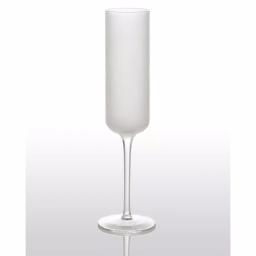 Abigails White Night Frosted Champagne Glass Set, 4-Piece Clear & Matte Glassware thumbnail 1
