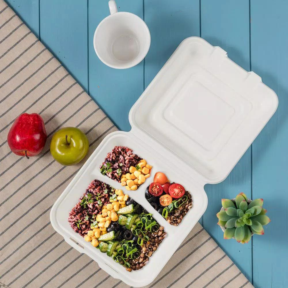Unbranded 10 in. White Sugarcane 3-Compartment Clamshell Containers, Biodegradable Sectional Food Trays (300 Pack)
