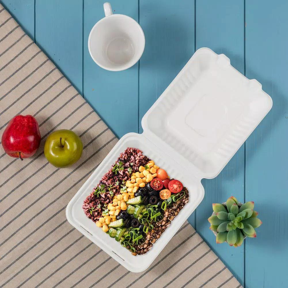 Unbranded 8 in. White Sugarcane Clamshell Containers, Compostable & Eco-Friendly (300 Pack)
