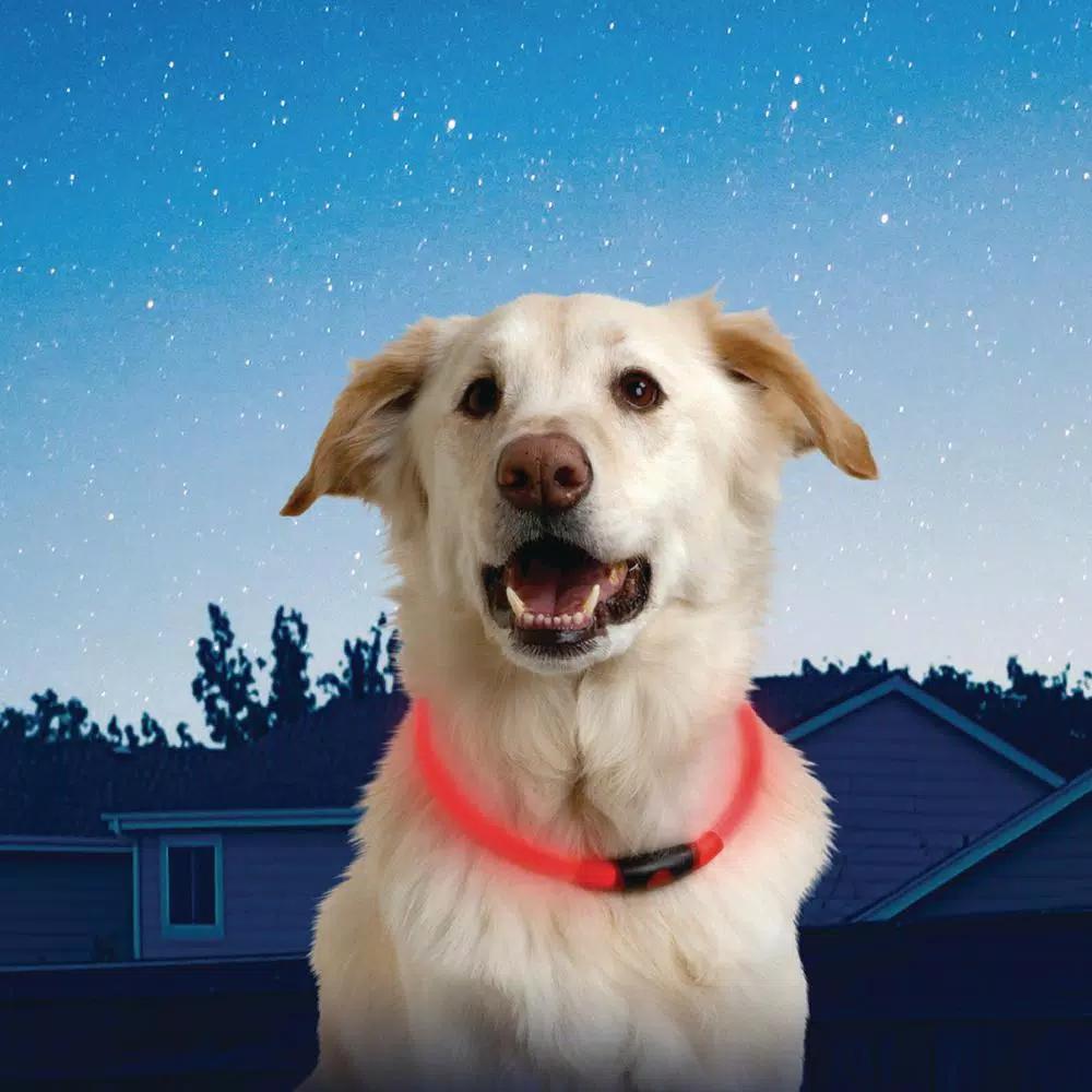 Nite Ize NiteHowl LED Safety Necklace for Dogs, Red, Adjustable 12-27 in.