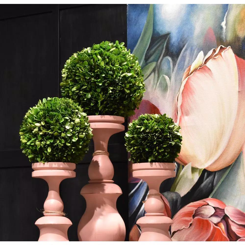 Unbranded 12 in. Preserved Boxwood Ball Topiary - Bright Green