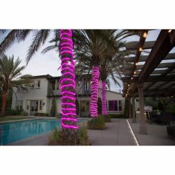 DEERPORT DECOR 16 ft. Pink LED Rope Light, 108-Light 360° Continuous Shine, Indoor/Outdoor Weather Resistant thumbnail 3
