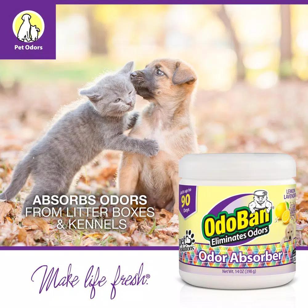 OdoBan Solid Odor Absorber Gel, Lemon Lavender, 14 oz.