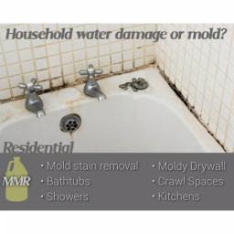 MMR Professional Instant Mold and Mildew Stain Remover, 1 Gallon (4-Pack) thumbnail 5