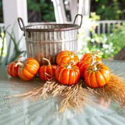 Flora Bunda 3 in. Dark Orange Foam Pumpkin Filler, Set of 8 - Fall Harvest Indoor Tabletop Decor thumbnail 2