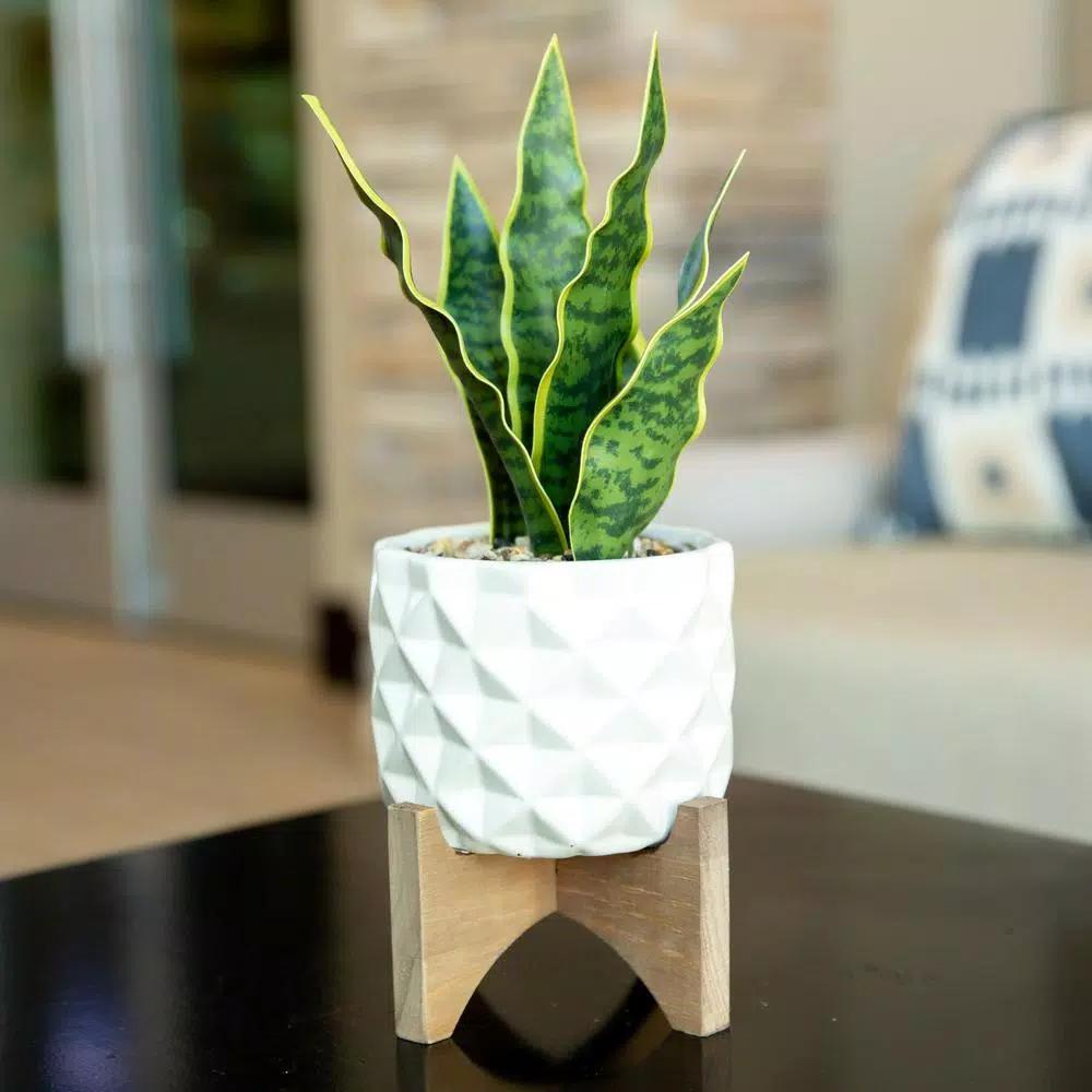Flora Bunda 12.5 in. Faux Snake Plant in White Dimple Pattern Ceramic Pot with Wood Stand