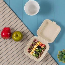 Unbranded 6 in. White Sugarcane Clamshell Containers, Compostable & Eco-Friendly (300 Pack) thumbnail 4