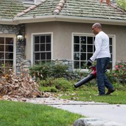Toro 60V Max Cordless Brushless Leaf Blower, 605 CFM, 115 MPH with 2.5 Ah Battery and Charger thumbnail 7