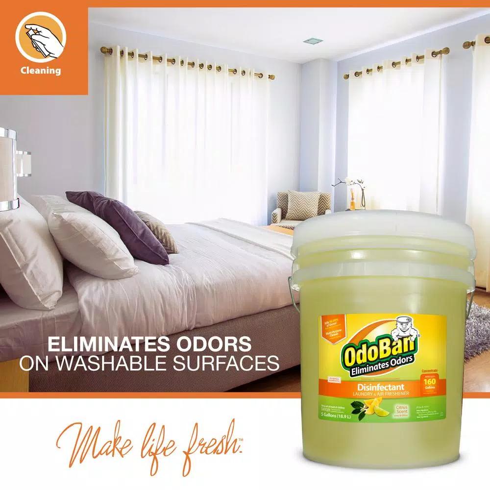 OdoBan Citrus Multi-Purpose Disinfectant & Odor Eliminator Concentrate, 5 Gal.