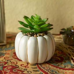 Flora Bunda 5 in. Fall Harvest Artificial Green Succulent in Cream Ceramic Pumpkin Pot with Gold Line thumbnail 3