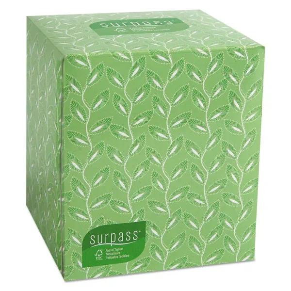 Kimberly-Clark PROFESSIONAL Surpass Facial Tissue 2-Ply, 110-Count per Box, White