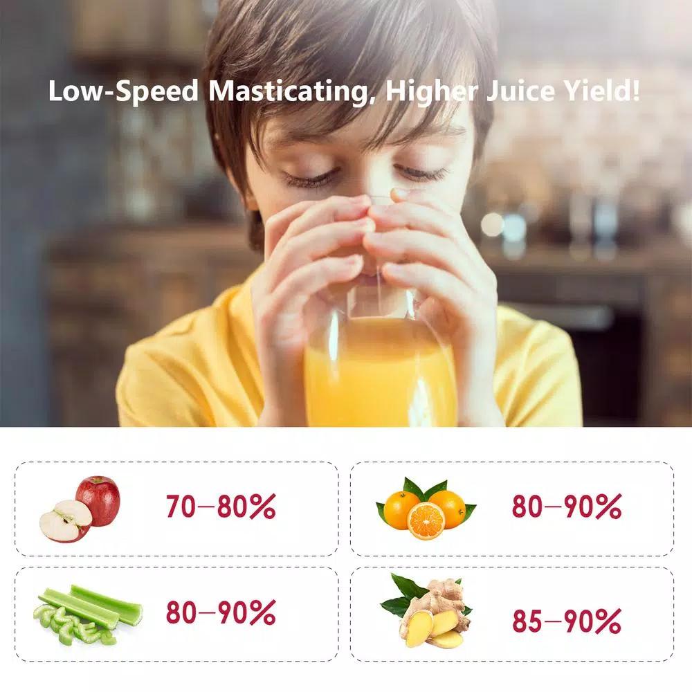 Boyel Living 200W Stainless Steel Slow Masticating Juicer, Quiet Cold Press Juicer with Reverse Function, Silver