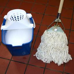 Ti-Dee American Ti-Dee 15 Qt. Rectangular Mop Bucket with Mop Twister, Blue thumbnail 2