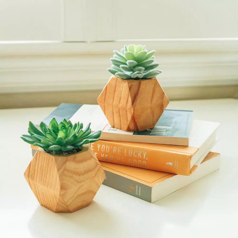 Flora Bunda Set of 2 Faux Succulents in Hand-Crafted Geometric Wood Planters, 4.5 in.