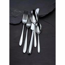 Oneida Mascagni II 18/0 Stainless Steel Serving Spoons, Silver (Set of 12) thumbnail 5