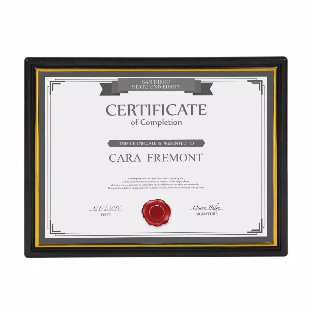 DesignOvation Corporate Document Frames, 8.5 x 11 in., Black with Gold Accent Trim (Set of 12)