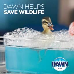 Dawn Ultra Dawn Original Scent Dish Soap, 75 oz (Pack of 3) thumbnail 6