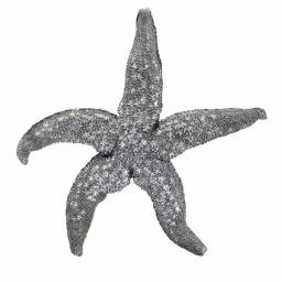 IMAX Magali Silver Starfish Wall Decor Set of 3 - Distressed Gray Polystone Sculptures thumbnail 3