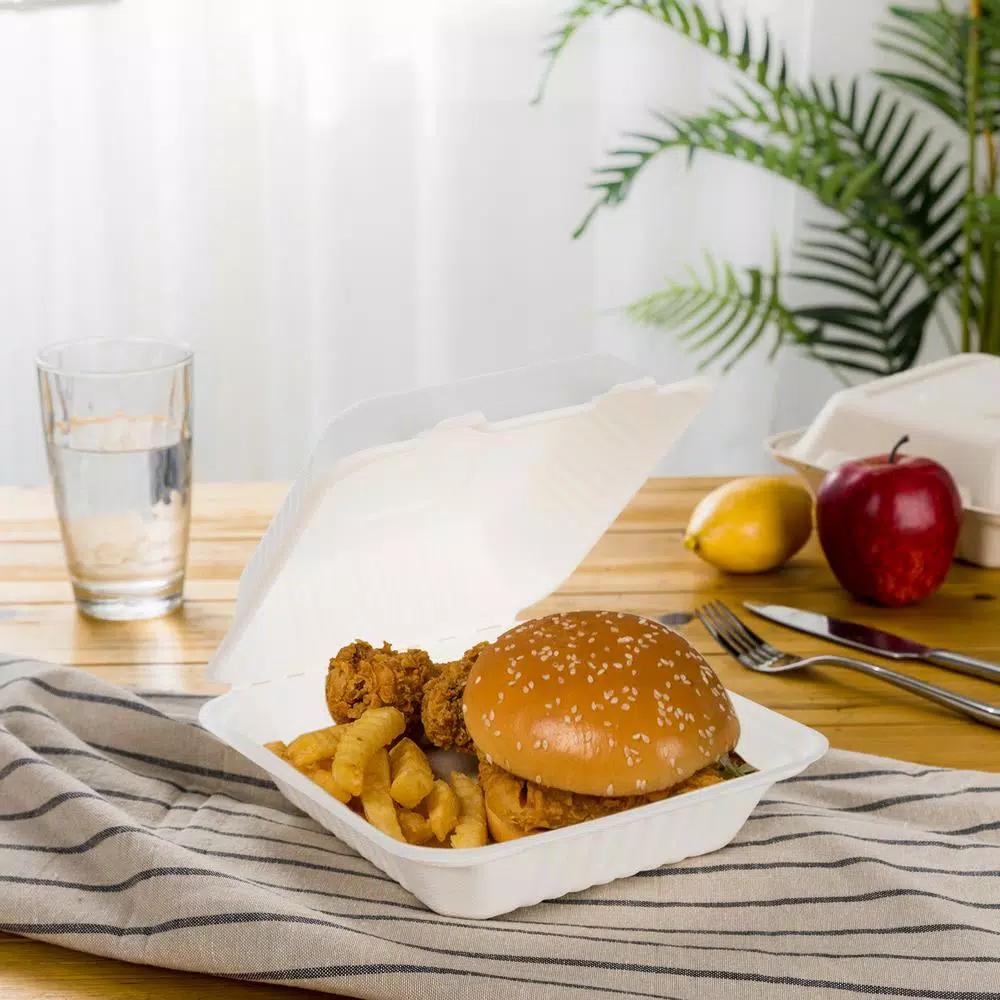 Unbranded 8 in. White Sugarcane Clamshell Containers, Compostable & Eco-Friendly (300 Pack)