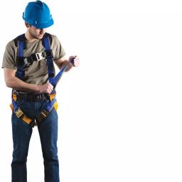 Werner Blue Armor 1000 Positioning Harness with 3 D-Rings, Small, Blue thumbnail 3