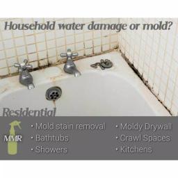 MMR Professional Instant Mold and Mildew Stain Remover, 32 oz. thumbnail 7
