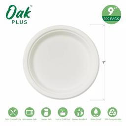 Unbranded 9 in. White Sugarcane Plates, Eco-Friendly & Compostable (300 Pack) thumbnail 3