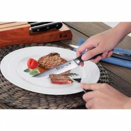 Cangshan V2 Series 5 in. Steak Knife Set with Acacia Wood Block, 9-Piece Set thumbnail 7