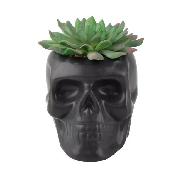 Flora Bunda 4.5 in. x 3.5 in. Artificial Succulent in Matte Black Ceramic Sugar Skull Planter