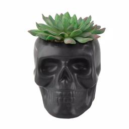 Flora Bunda 4.5 in. x 3.5 in. Artificial Succulent in Matte Black Ceramic Sugar Skull Planter thumbnail 1