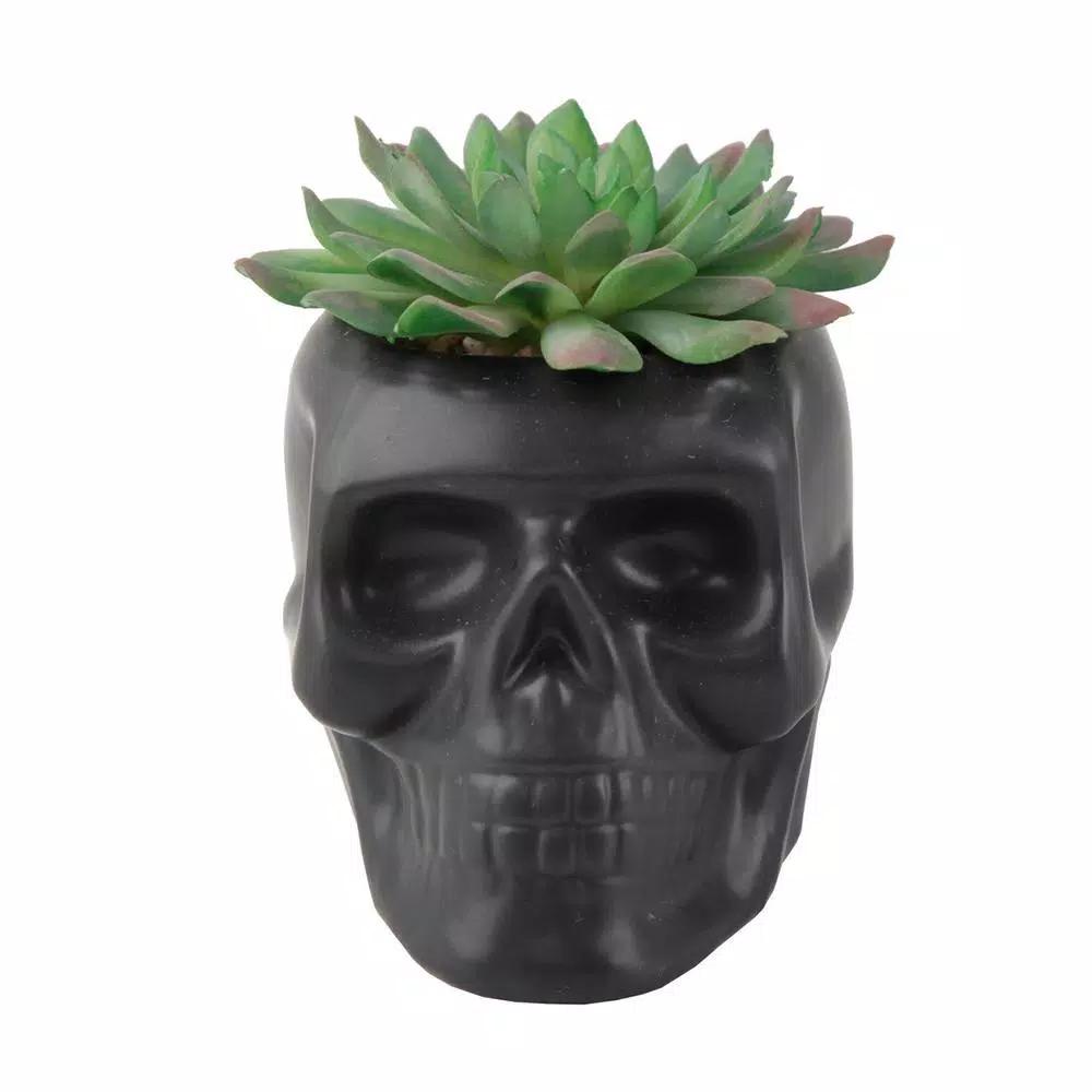 Flora Bunda 4.5 in. x 3.5 in. Artificial Succulent in Matte Black Ceramic Sugar Skull Planter