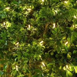 Home Accents Holiday 48 in. x 72 in. 150-Light Warm White LED Mini Net Lights, Indoor/Outdoor thumbnail 4